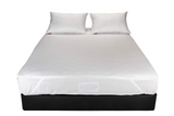 Cozyat Premium Microfill Pillow (Set of 2)